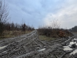 🌿 ������ �������� ������ 10 ����� ������� � �������� ���� ��� ����� �� ����������! ���� 2