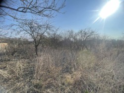 ������ ������ �.г���� ���� 2