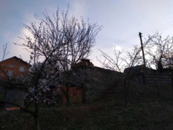 ������ ������ �������� ������ � �.³������ ������, ����� �������. ���� 5