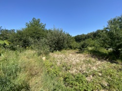 🌳        !  5