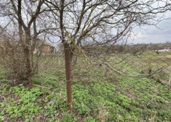 ������ �������� ������ �� ������� �������� �� ���. ������� ���� 5