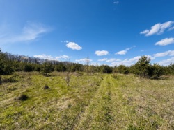 ĳ����� � ������� �������� ���� ���� 7