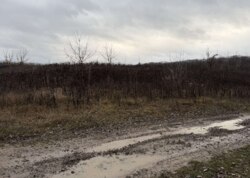 ������ �������� ������ �� ������� �������� ���� 1