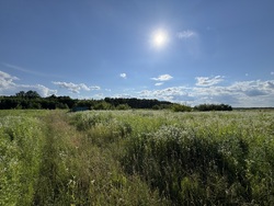 🌿 Продаж земельної ділянки в перспективному масиві, що активно розвивається! фото 2 🌿 Продаж земельної ділянки в перспективному масиві, що активно розвивається! фото 2