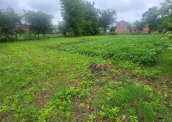 Продаж земельної ділянки під житлову забудову фото 2 Продаж земельної ділянки під житлову забудову фото 2