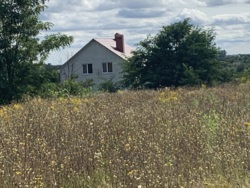 ������ ������ 20 ��� � ��������� ���� 11