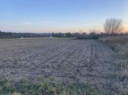 ������ �������� ������. ���� 1