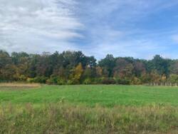 Продаж ділянки в с. Сосонка фото 2 Продаж ділянки в с. Сосонка фото 2