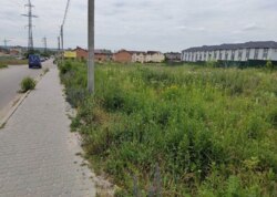 ������ �������� ������ ������������ ����������� �� ����������� ����, ����� 24 ����� ���� 3