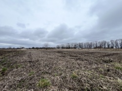 Продаж земельної ділянки вул. Сонячна фото 4 Продаж земельної ділянки вул. Сонячна фото 4