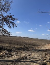 ������ �������� ������ �� ������� �������� ���� 7