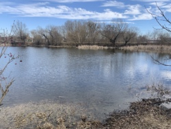 Продаж ділянки під житлову забудову фото 17 Продаж ділянки під житлову забудову фото 17