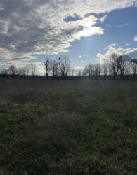 ������ �������� ������ �� ������� �������� ���� 9