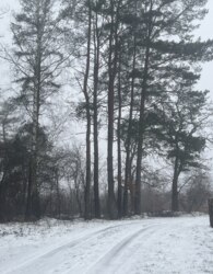 ������ �������� ������ �� ������� �������� ���� 4