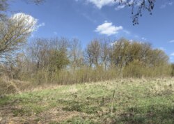 Продається земельна ділянка у Гавришівці фото 3 Продається земельна ділянка у Гавришівці фото 3