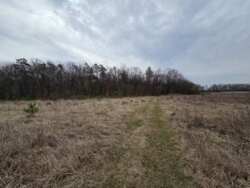 ������ ������ ��� ��� ���� 7