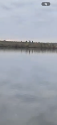 ������ ������ 75 ��� � �. г���� ���� 4