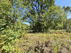 ĳ����� �������� ���� 9