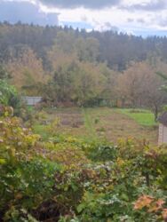 Терміновий продаж фото 6 Терміновий продаж фото 6