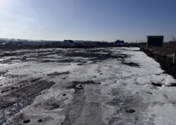 ������ �������� ������ �� ������� �������� ���� 12