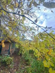 Терміновий продаж фото 7 Терміновий продаж фото 7