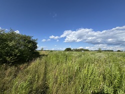 🌿 Продаж земельної ділянки в перспективному масиві, що активно розвивається! фото 1 🌿 Продаж земельної ділянки в перспективному масиві, що активно розвивається! фото 1