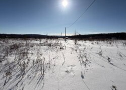 ������ �������� ������ ��������� (��������) ���� 7