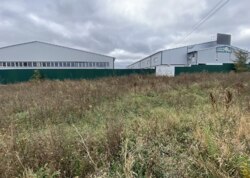 ������ �������� ������ ������������ ����������� �� ����������� ����, ����� 24 ����� ���� 22