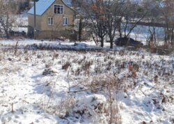 ������ �������� ������ �� ������� �������� ���� 4