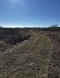 ������ �������� ������ �� ������� �������� ���� 16