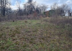 ������ �������� ������ ��������������������� ����������� ���� 6