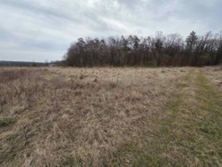 ������ ������ ��� ��� ���� 3