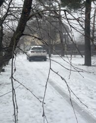 ������ �������� ������ �� ������� �������� ���� 5