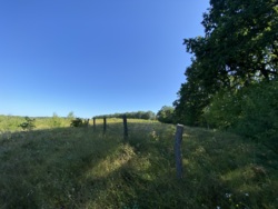       4,3             ,      !  21