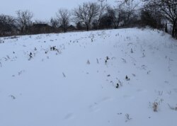 ������ �������� ������ �� ������� �������� �� ���. ������� ������������� ���� 5