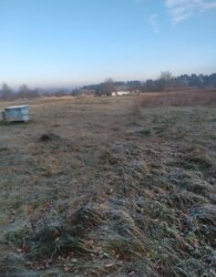 Продаж земельної ділянки сільськогосподарського призначення фото 7 Продаж земельної ділянки сільськогосподарського призначення фото 7