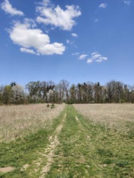 Продаж комерційноі ділянки в Ксаверівці. фото 6 Продаж комерційноі ділянки в Ксаверівці. фото 6