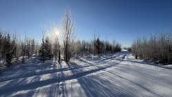 🌿 ������ �������� ������ 10 ����� ������� � �������� ���� ��� ����� �� ����������! ���� 1