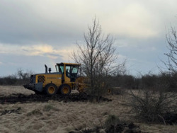 �������� ������ 8 ����� �� ����� ���� ϳ������� ���. ���� 8