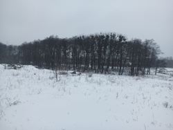 Продається ділянка Єсєніна, Вінниця, Вінницька, Передмістя, Стрижавка фото 8 Продається ділянка Єсєніна, Вінниця, Вінницька, Передмістя, Стрижавка фото 8