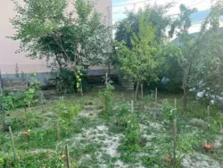 Продається ділянка Аграрна, Вінниця, Вінницька, Староміський, Старе місто фото 5 Продається ділянка Аграрна, Вінниця, Вінницька, Староміський, Старе місто фото 5