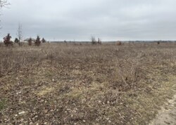 ������ �������� ������ ��������������������� ����������� ���� 7