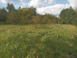 Продам земельний участок на березі річки. фото 2 Продам земельний участок на березі річки. фото 2