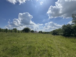 🌿 Продаж земельної ділянки 53 сотки | с. Лукашівка фото 10 🌿 Продаж земельної ділянки 53 сотки | с. Лукашівка фото 10