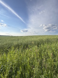 Продаж паю в Березині фото 6 Продаж паю в Березині фото 6