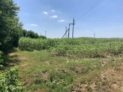 Продаю земельний пай в Якушенцях фото 2 Продаю земельний пай в Якушенцях фото 2