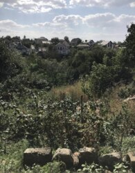 ������ �������� ������ �� ������� �������� ���� 14