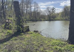 Продається земельна ділянка у Гавришівці фото 2 Продається земельна ділянка у Гавришівці фото 2