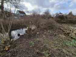 ĳ����� ��� ����������� ����� 12 ���. ���� 5