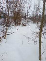 ������ �������� ������. ���� 9